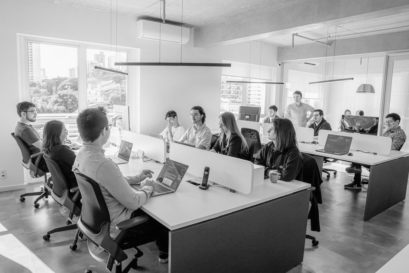 The Dink team at work
