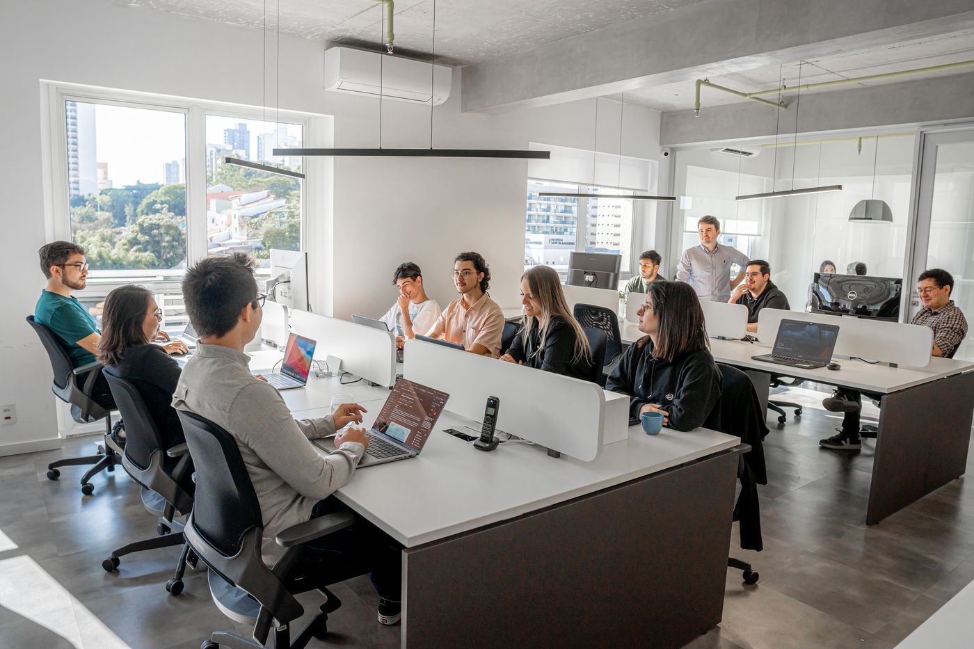The Dink team at work